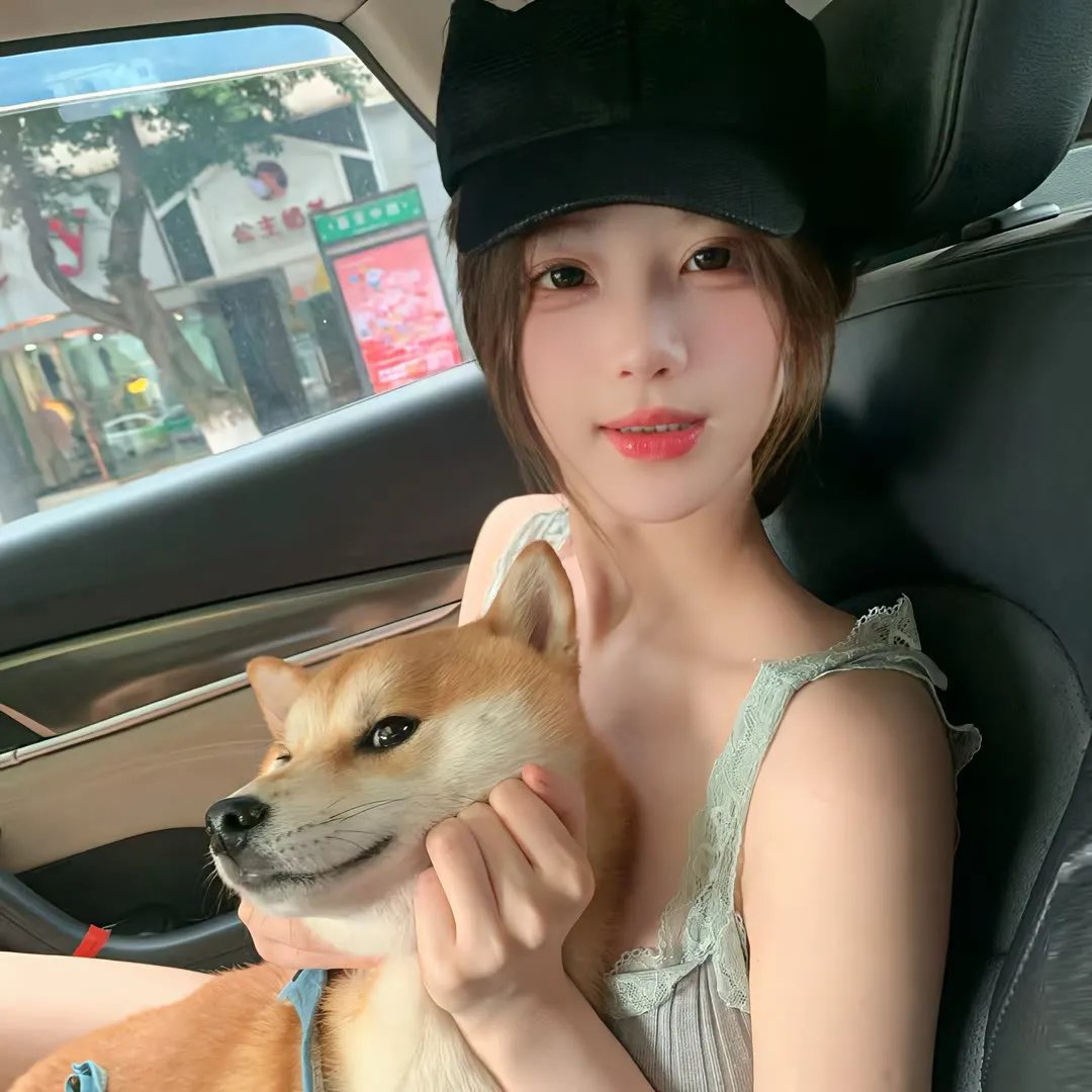 美国派:索爱天书